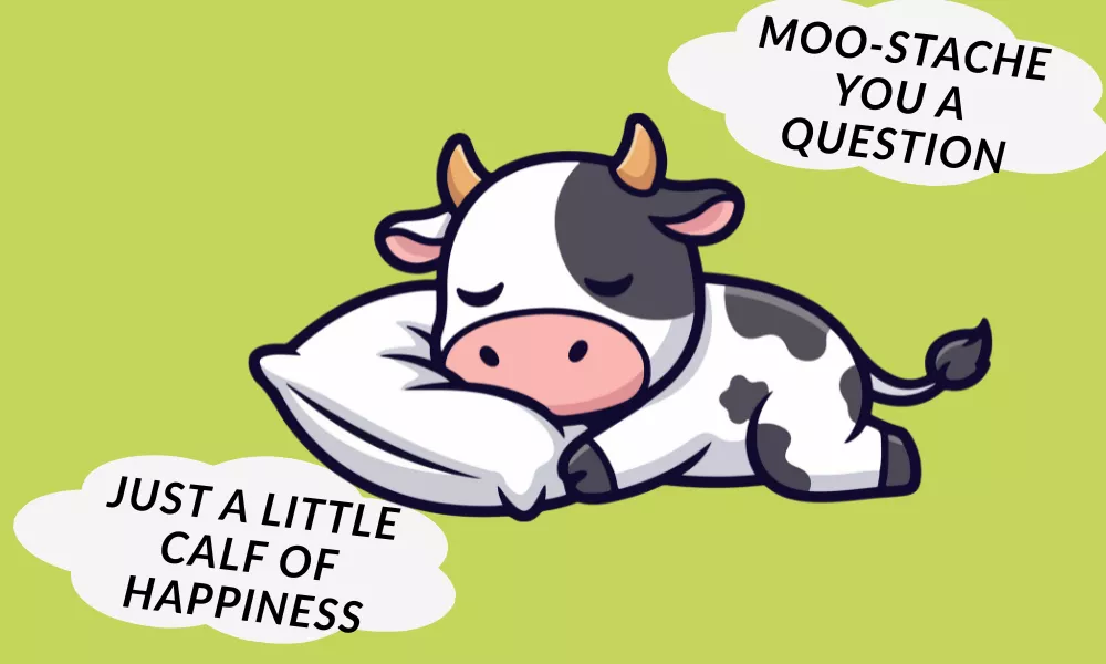 Cow Birthday Puns