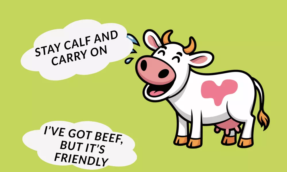Funny Cow Puns