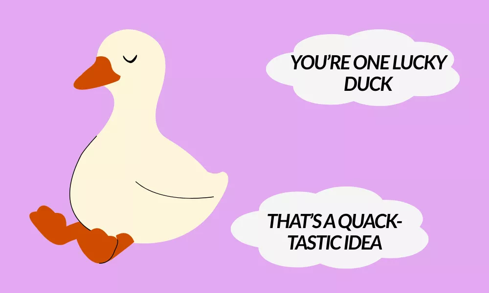 Funny Duck Puns