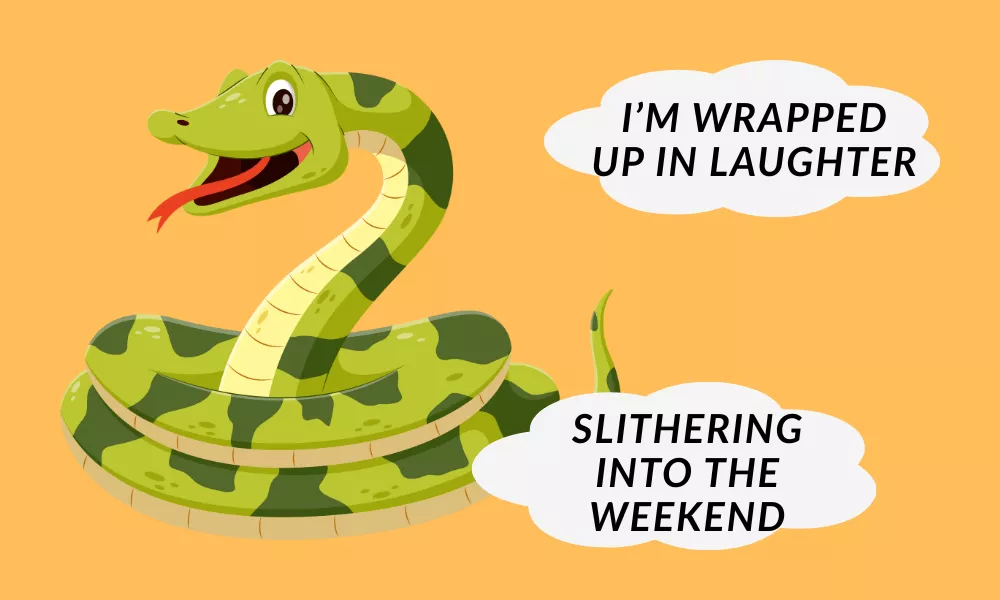 Funny Snake Puns Funny Snake Puns