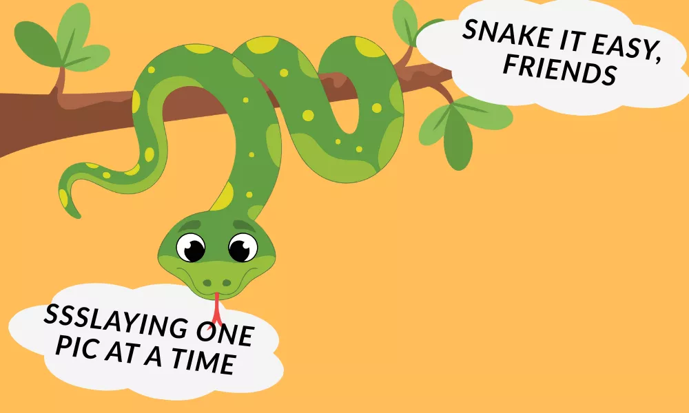 Funny Snake Sayings Funny Snake Sayings