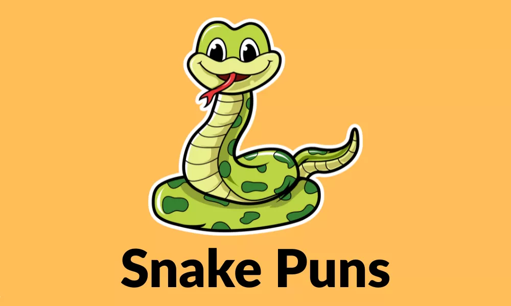 Snake Puns | Funny Jokes, One-Liners And Clever Wordplay 1 Snake Puns