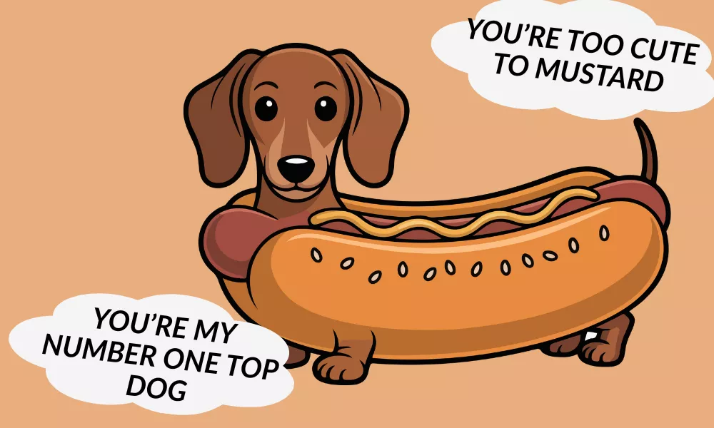 Hot Dog Jokes One Liners