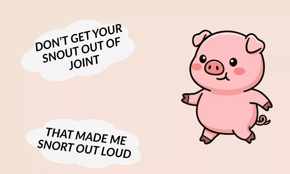Pig Jokes