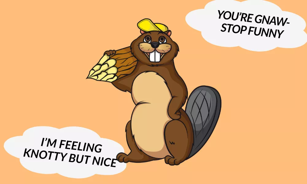Beaver Jokes