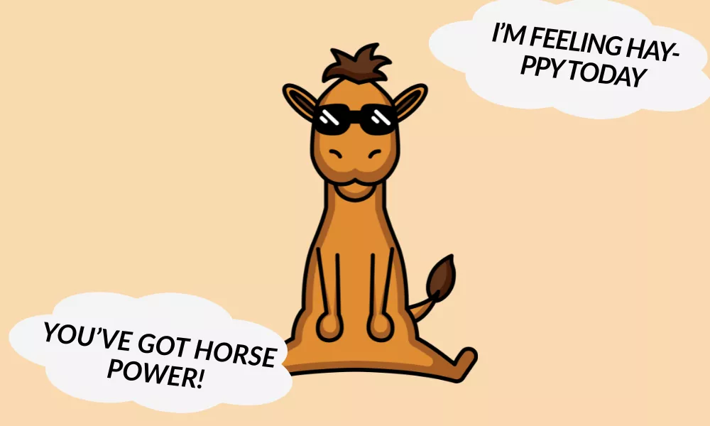 Horse Puns One Liners