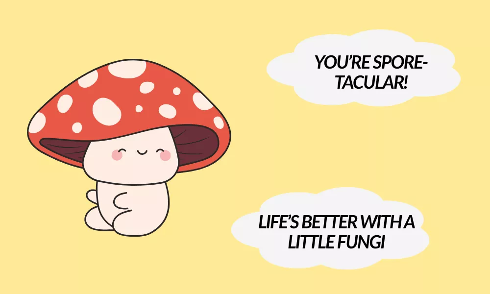 Mushroom Birthday Puns