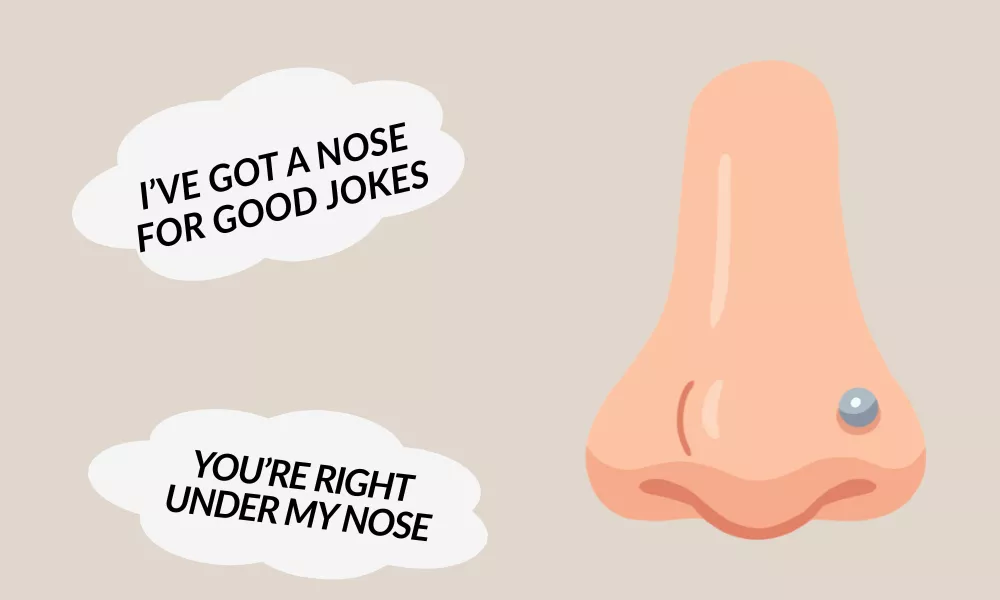 Nose Puns One Liners Nose Puns One Liners