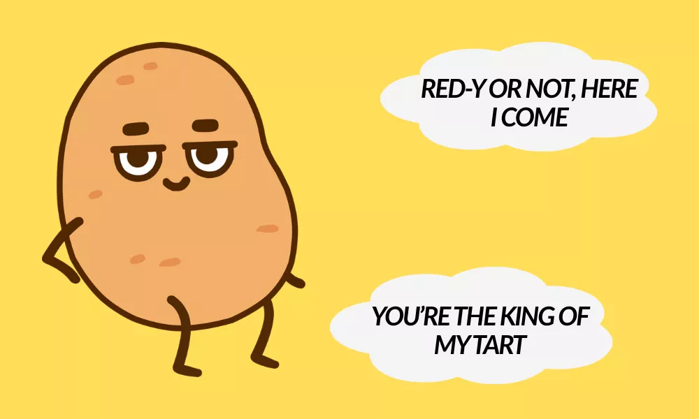Funny Taylor Swift Puns