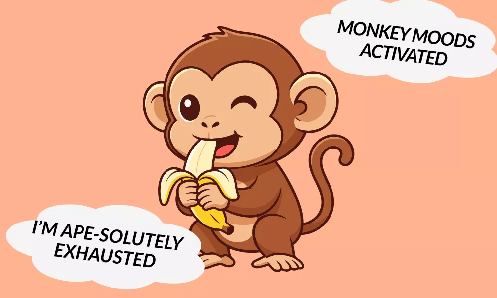 Monkey Jokes Monkey Jokes