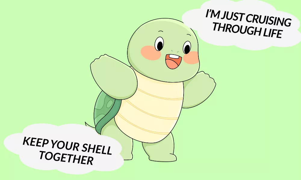 Turtle Jokes One Liners Turtle Jokes One Liners