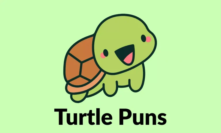 Turtle Puns: Funny, Cute, Romantic & Shell-Tastic Turtle Jokes 1 Turtle Puns