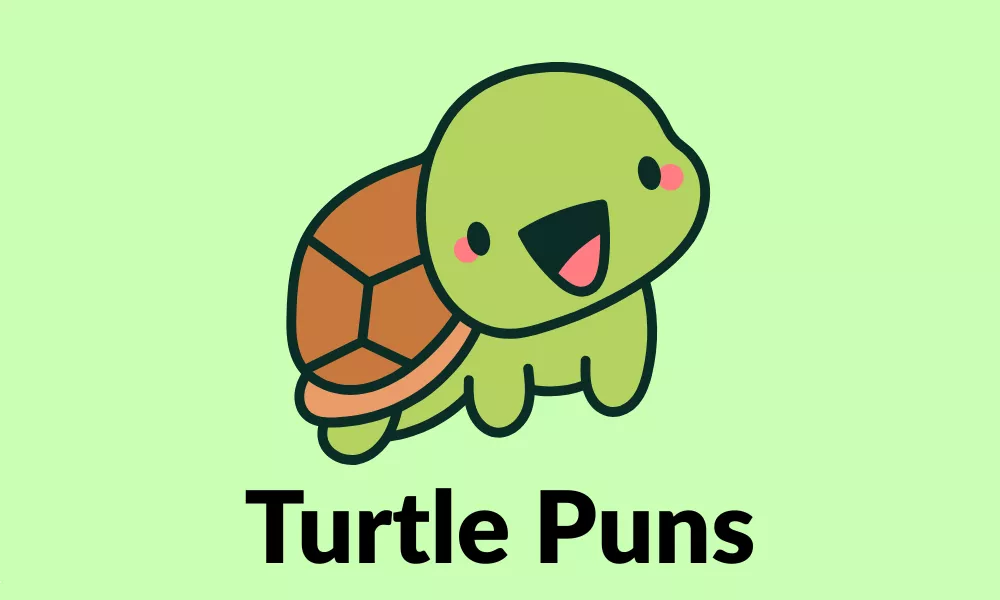 Turtle Puns: Funny, Cute, Romantic & Shell-Tastic Turtle Jokes 1 Turtle Puns