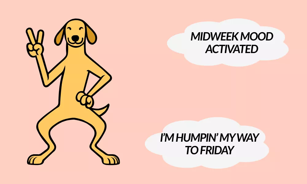 Funny Wednesday Puns