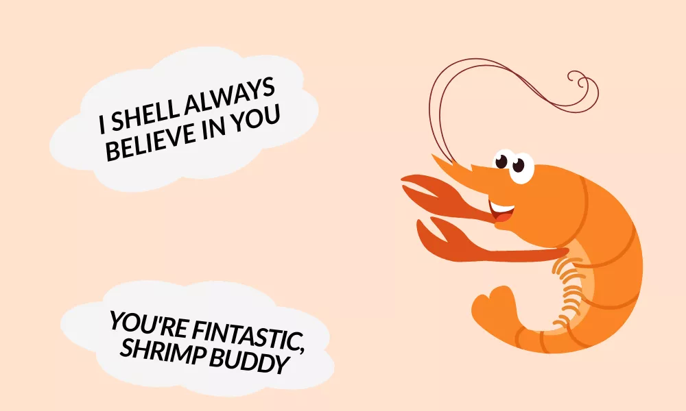 Shrimp Jokes