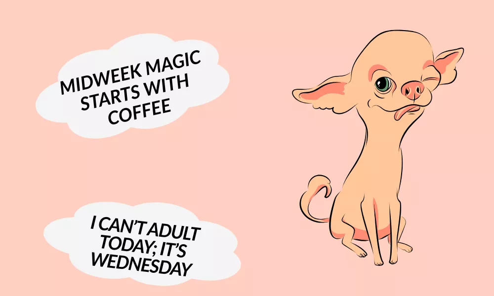 Wednesday Jokes For Work
