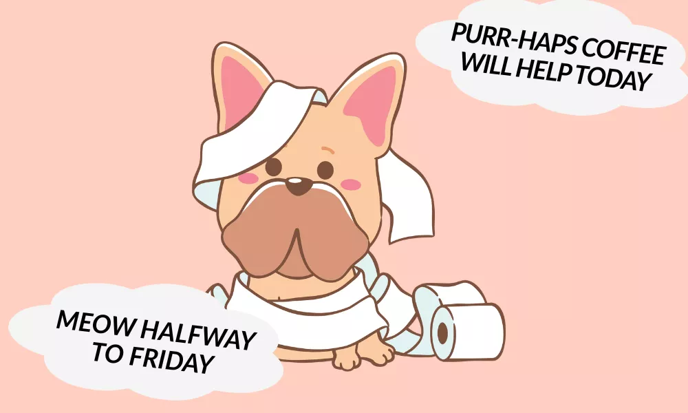 Wednesday Jokes