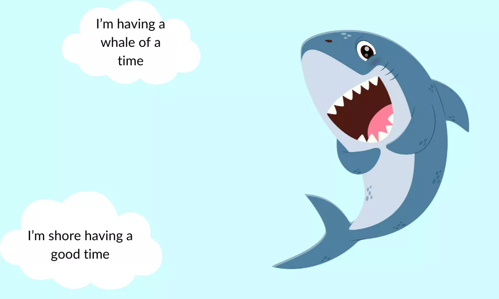 Beach Puns