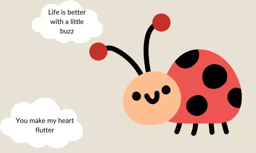 Bug Jokes