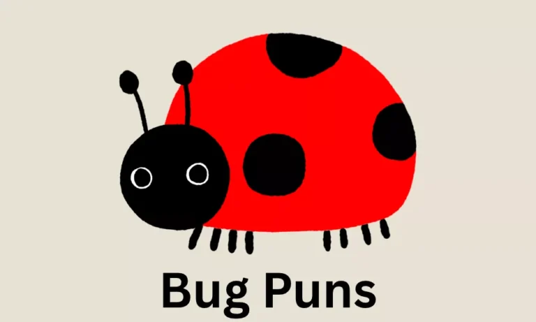 Bug Puns