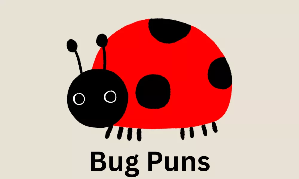 Bug Puns: Funny, Cute & Clever Insect Jokes 1 Bug Puns