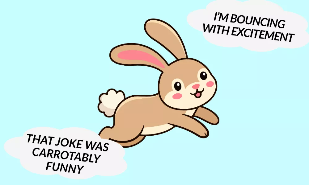 Bunny Captions