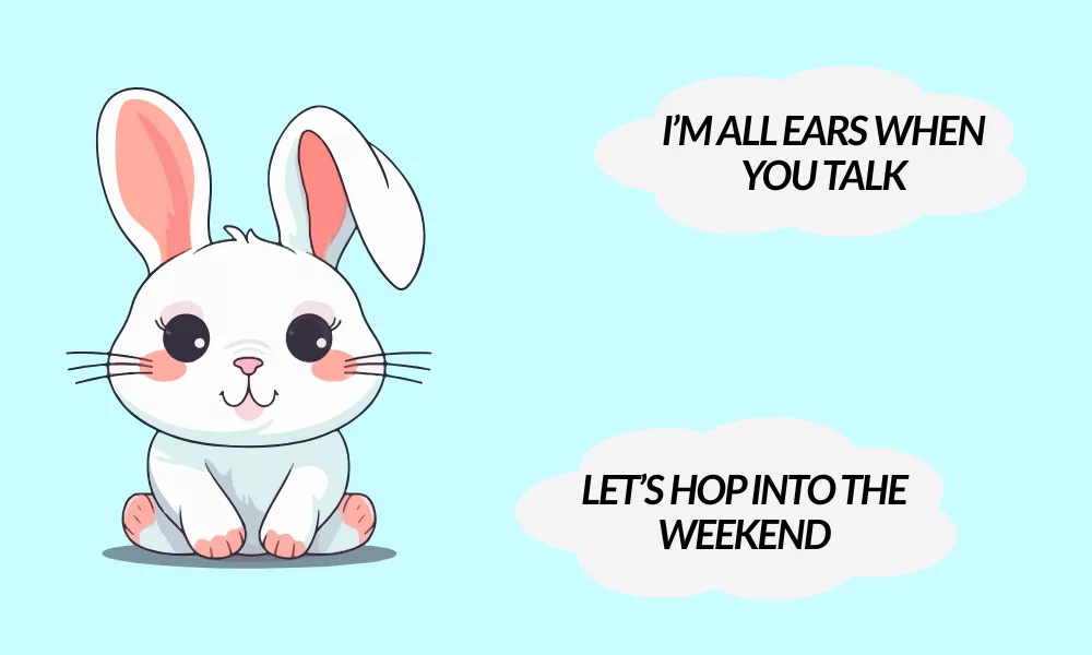 Bunny Puns One Liners