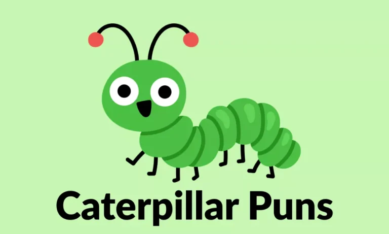 Caterpillar Puns