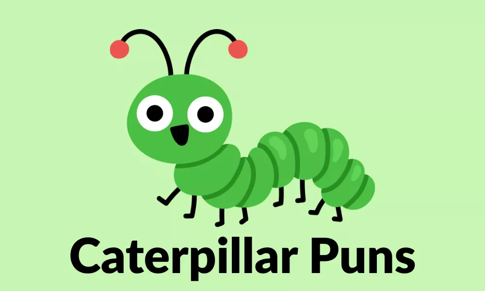 Caterpillar Puns and Jokes to Make You Wiggle, Crawl & Smile 20 Caterpillar Puns