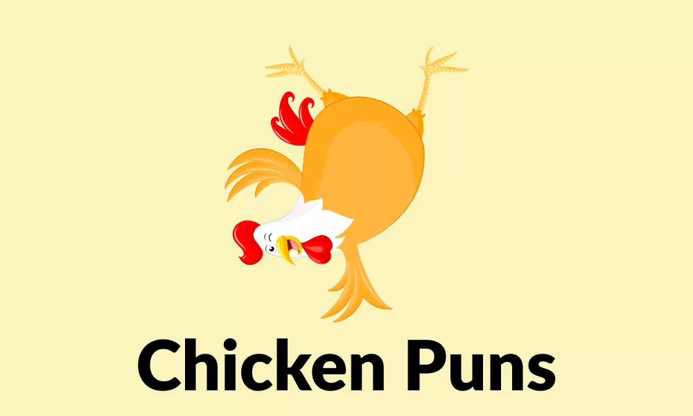 Chicken Puns: Funny, Cute & Egg-cellent Jokes 17 Chicken Puns