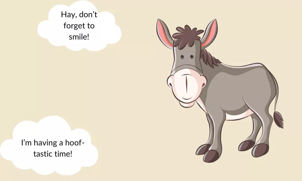 Donkey Jokes For Kids