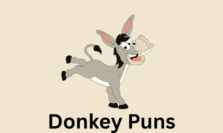 Donkey Puns
