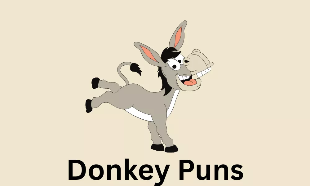 Donkey Puns: Funny, Cute and Clever Donkey Jokes 6 Donkey Puns