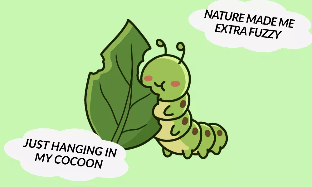 Funny Caterpillar Puns Funny Caterpillar Puns