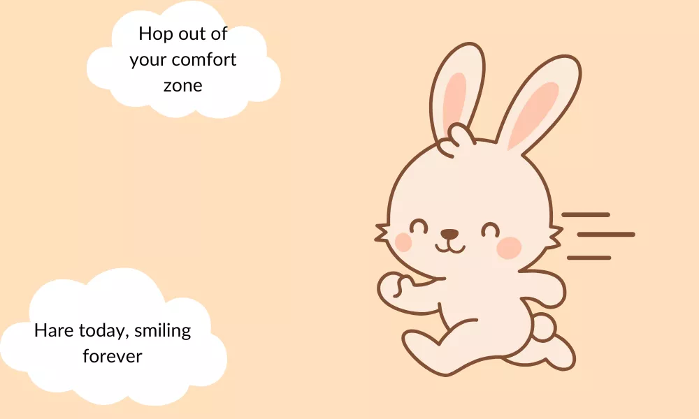 Rabbit Jokes Rabbit Jokes