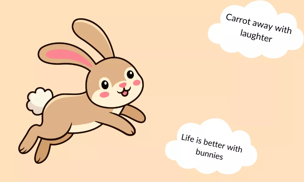 Rabbit Puns One Liners Rabbit Puns One Liners