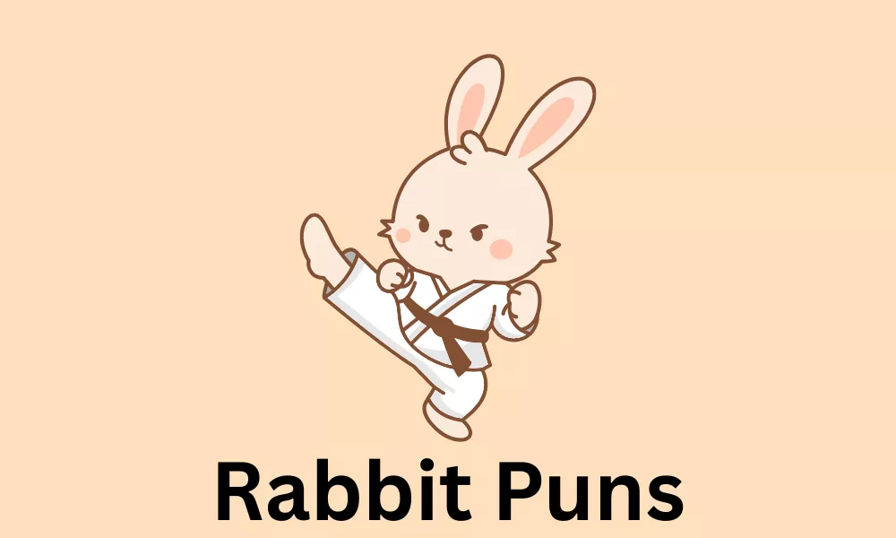 Rabbit Puns: Funny, Cute & Hoppy Rabbit Jokes 8 Rabbit Puns