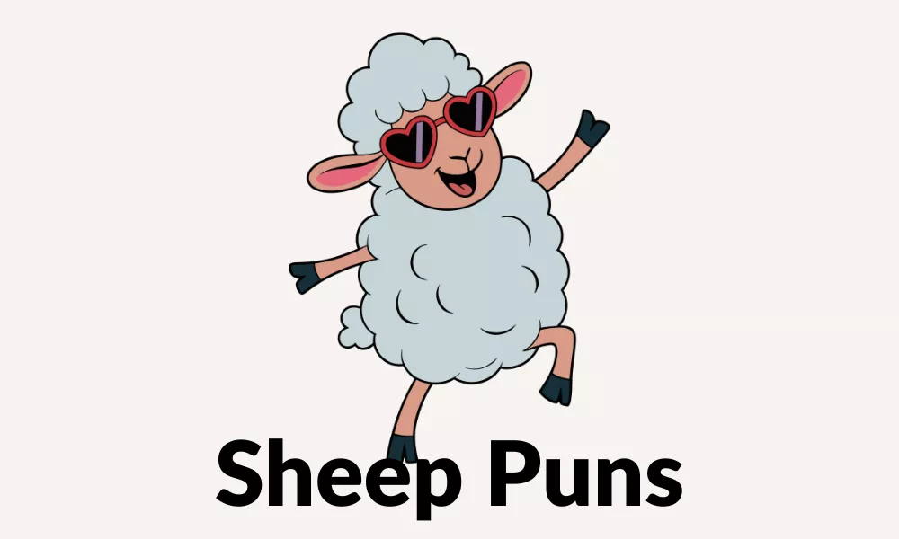Funny Sheep Puns And Jokes That Will Make Ewe Smile 1 Sheep Puns