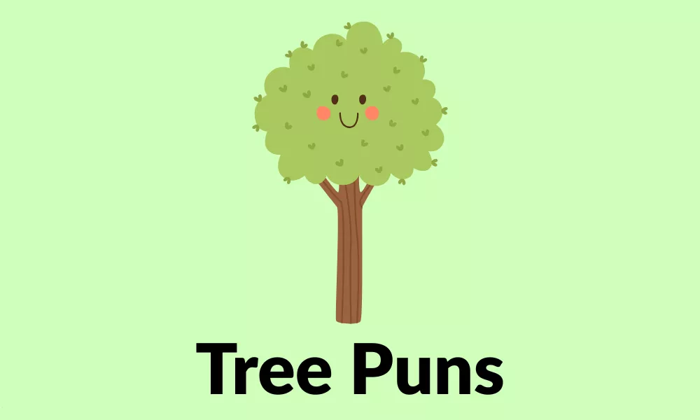 Tree Puns: Funny, Cute & Clever Tree Jokes 13 Tree Puns